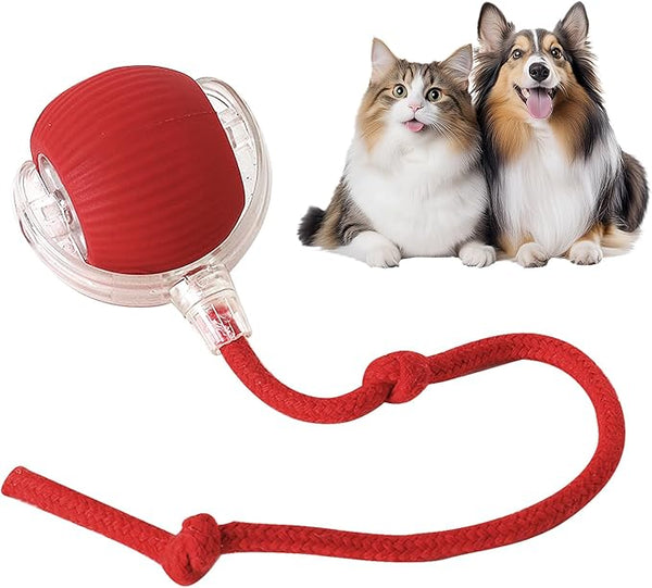 Yopoll ™ | interactive pet toy ball